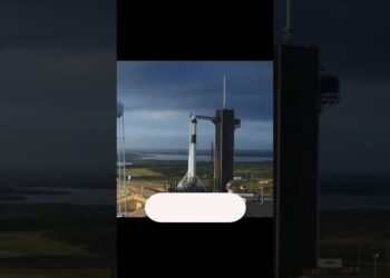 Elon Musk to Mars #elonmusk #spacex #nasa #shorts