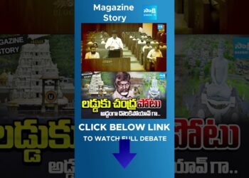CM Chandrababu Pretend Allegations On Tirupati Laddu | Tremendous Six  Schemes | Journal Story