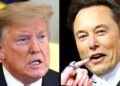 How Elon Musk Took BILLIONS From Trump