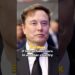 What if Elon Musk had been born out of the country?
