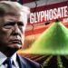 Trump's Glyphosate Government Order Sparks Republican Revolt Trump's Glyphosate Government Order Sparks Republican Revolt