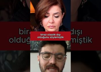 Trump’ın Meksika Planı İşgal mi, Gizli İş Birliği mi? #trump