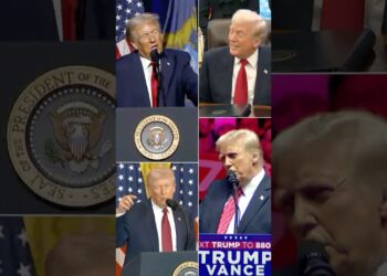 How Trump Justified Tariffs Forward of State of the Union