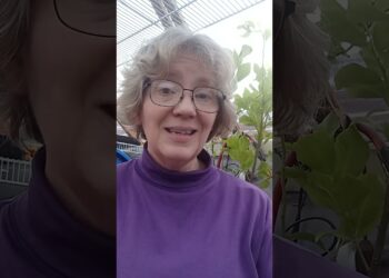 I'm a Republican: Episode 9 – Regulation and Order?