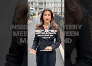 Contained in the thriller assembly between Mamdani and Trump