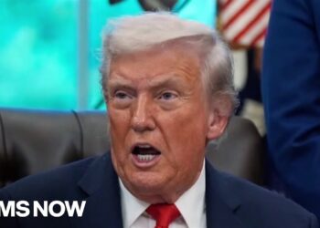 Trump exploring government order on Voter ID, in effort to sow mistrust in midterm elections