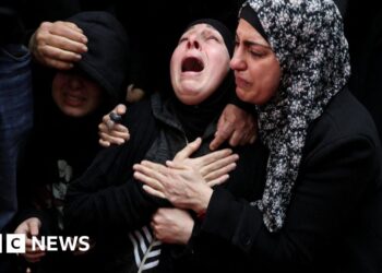 Household of Palestinian-American man killed in West Financial institution demand accountability – BBC