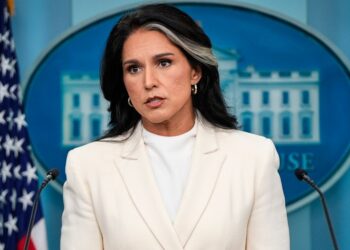 Tulsi Gabbard accused of making an attempt to ‘bury’ whistleblower criticism