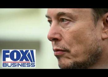 NEVER wager in opposition to Elon Musk: CEO