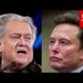 Elon Musk Publicly Assails ‘Evil’ Steve Bannon After Epstein Information Launch