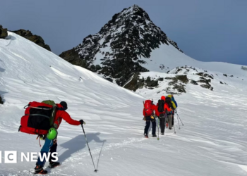 Austrian climber discovered responsible after girlfriend froze to loss of life on mountain – BBC