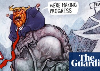 Stephen Lillie on the fourth anniversary of the warfare in Ukraine – cartoon – The Guardian