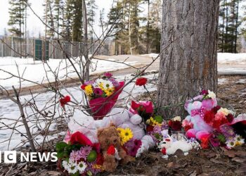 Police determine 18-year-old as suspect in Tumbler Ridge taking pictures – BBC