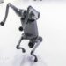 Indian college faces backlash for claiming Chinese language robodog as personal at AI summit – BBC