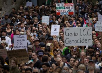 Amnesty Worldwide Australia requires unbiased investigation of police violence in direction of peaceable protestors