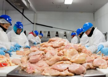 The Trump administration desires to hurry up pig and hen slaughterhouse traces The Trump administration desires to hurry up pig and hen slaughterhouse traces