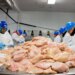 The Trump administration desires to hurry up pig and hen slaughterhouse traces