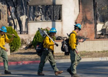 Trump’s new Wildland Fireplace Service is failing to ignite