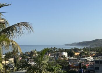 Don’t Imagine the Puerto Vallarta BS, from somebody on the bottom. Don’t Imagine the Puerto Vallarta BS, from somebody on the bottom.