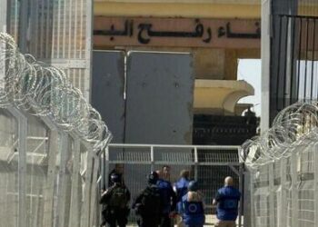 Footage exhibits Hamas commander killed in Gaza with alleged Israeli steering