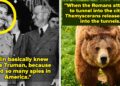 29 Completely Ridiculous However True Historical past Info