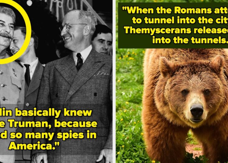 29 Completely Ridiculous However True Historical past Info