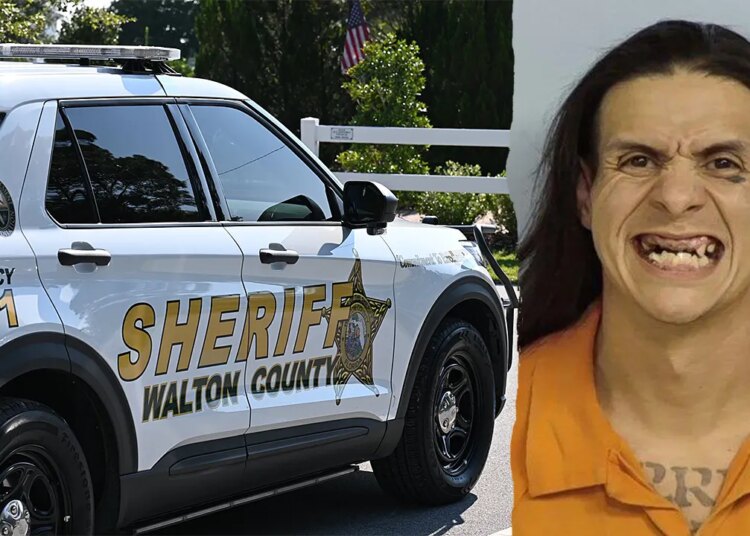 Florida man Blackie Alvarez faces 7 felony expenses in street rage case