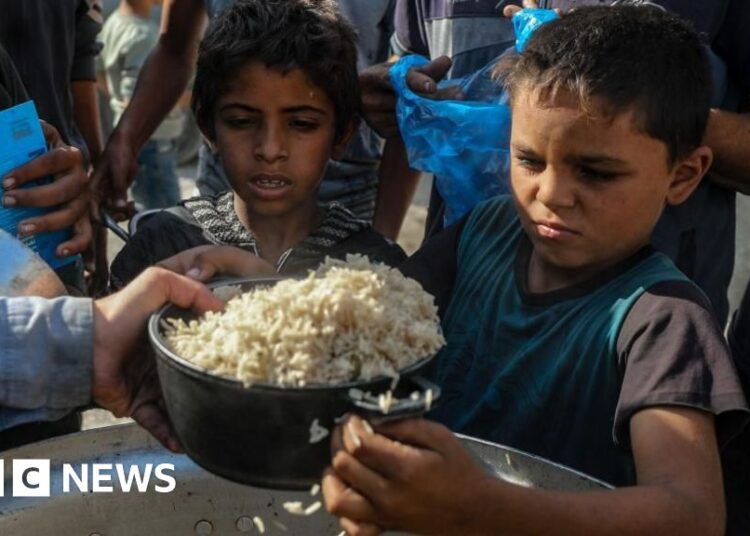 Support teams in Gaza and West Financial institution thrown lifeline as Israel courtroom pauses ban risk