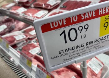 Trump economic system: Jobs are up, inflation is down — however voters are nonetheless mad