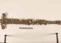twelfth century Crusader sword found “by probability” by pupil off coast of Israel, college says
