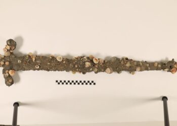 twelfth century Crusader sword found “by probability” by pupil off coast of Israel, college says