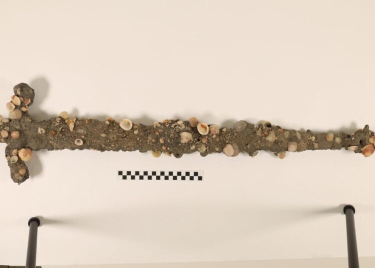 twelfth century Crusader sword found “by probability” by pupil off coast of Israel, college says twelfth century Crusader sword found “by probability” by pupil off coast of Israel, college says