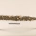 twelfth century Crusader sword found “by probability” by pupil off coast of Israel, college says