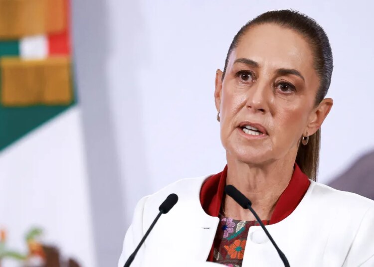 Mexican President Sheinbaum considers authorized motion in opposition to Musk