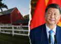 Lawmakers demand solutions from FFA over Chinese language Communist Celebration ties