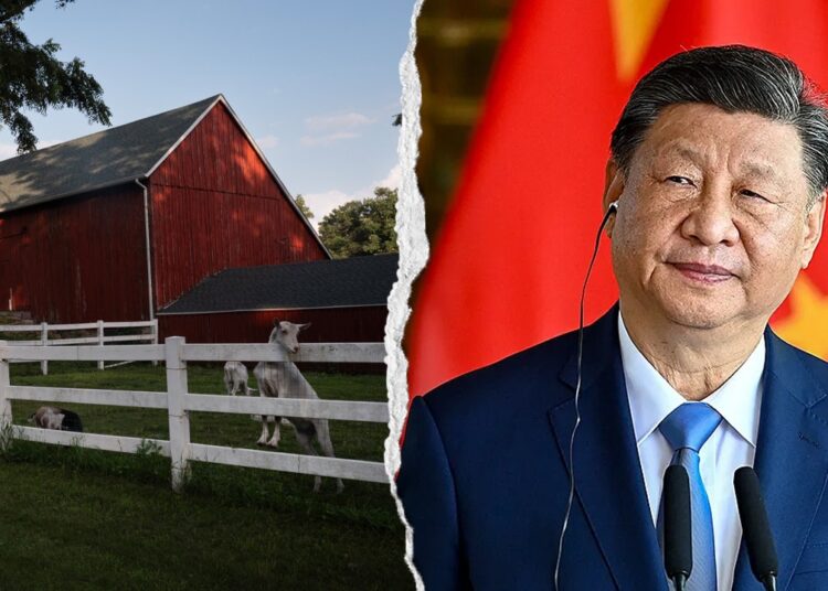Lawmakers demand solutions from FFA over Chinese language Communist Celebration ties