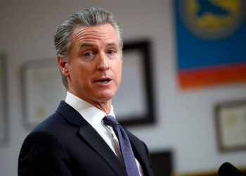 California allocating  million for unlawful immigrant assist, Newsom says