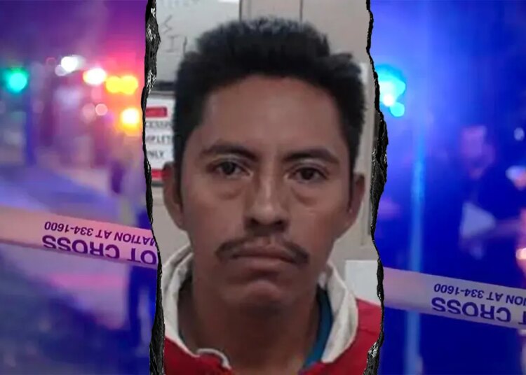 ‘Beloved’ elementary instructor killed in automotive crash attributable to unlawful fleeing ICE: DHS