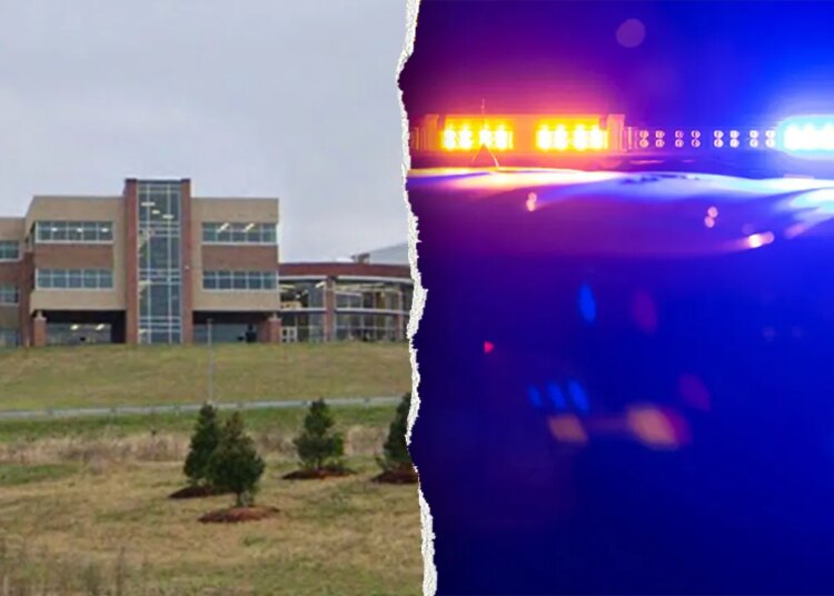 Teen charged with over 300 felonies in alleged sextortion scheme: experiences