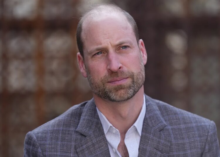 Prince William’s Earthshot Prize faces scrutiny over Epstein hyperlink