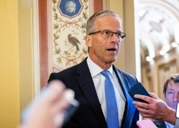 Thune opposes Trump election takeover concept, says Dems tried the identical and failed