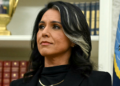 Tulsi Gabbard ends intelligence reform process drive after lower than a 12 months