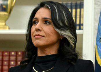Tulsi Gabbard ends intelligence reform process drive after lower than a 12 months