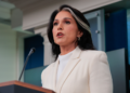 DNI Tulsi Gabbard denies wrongdoing over categorised whistleblower criticism