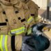 Firefighters rescue injured seabird desperately pecking at hospital door