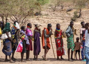 Quick wet seasons are killing Kenyan livestock