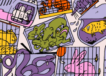 Is it merciless to maintain birds, fish, snakes, lizards, and hamsters as pets? 