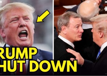 TRUMP ERUPTS as Decide STRIKES DOWN Order Focusing on Legislation Agency