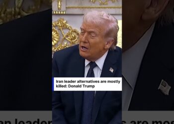 “Principally Useless”: Trump Admits to Management Vacuum as Iran Strikes Proceed | DWS Information | AH1C “Principally Useless”: Trump Admits to Management Vacuum as Iran Strikes Proceed | DWS Information | AH1C