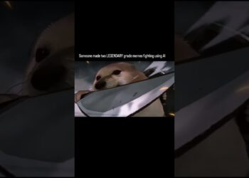 Bananacat vs Doge combat